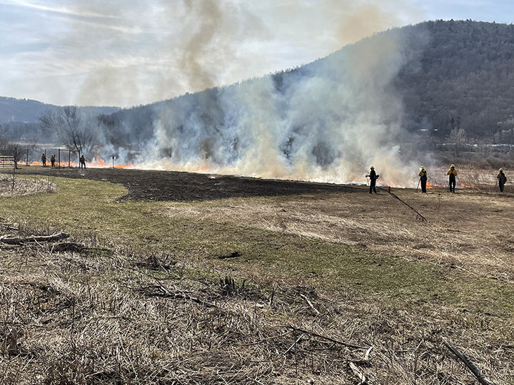 Marsh Creek controlled burn